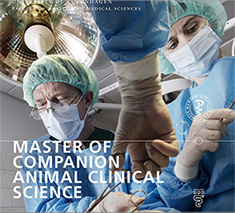 Folder for Master of Companion Animal Clinical Science